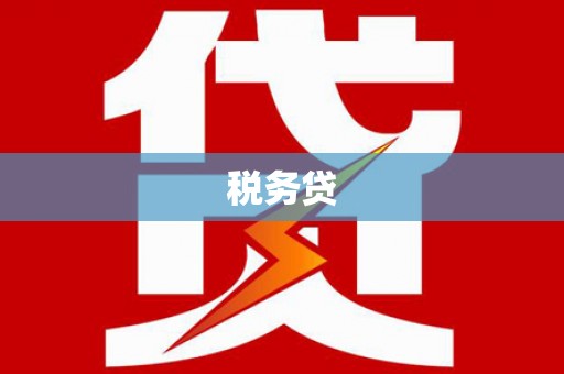 万秀税务贷