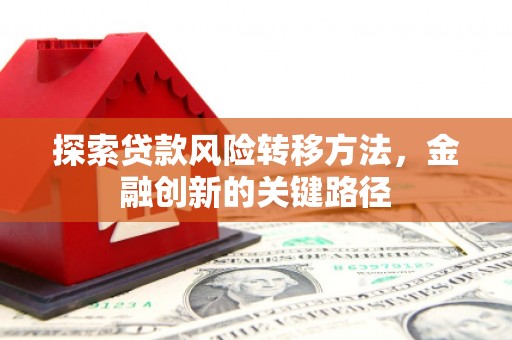 万秀探索贷款风险转移方法，金融创新的关键路径