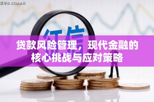 万秀贷款风险管理，现代金融的核心挑战与应对策略