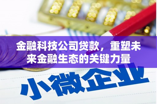 万秀金融科技公司贷款，重塑未来金融生态的关键力量