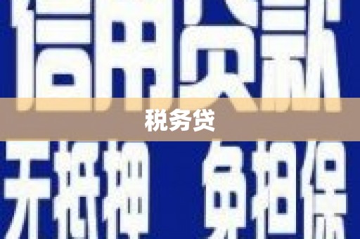 万秀税务贷