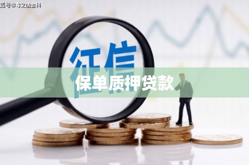 万秀保单质押贷款