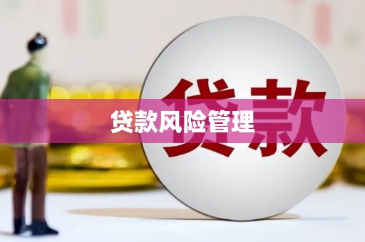 万秀贷款风险管理