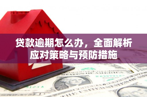 万秀贷款逾期怎么办，全面解析应对策略与预防措施
