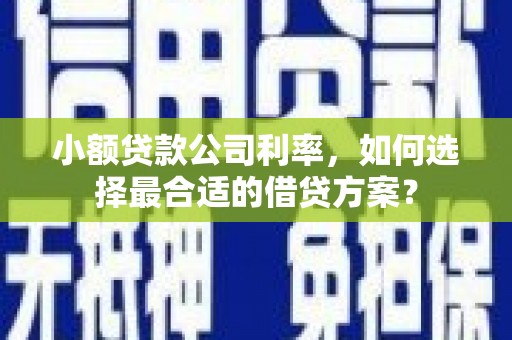 万秀小额贷款公司利率，如何选择最合适的借贷方案？
