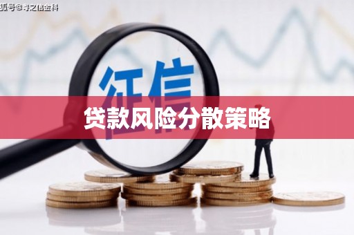 万秀贷款风险分散策略