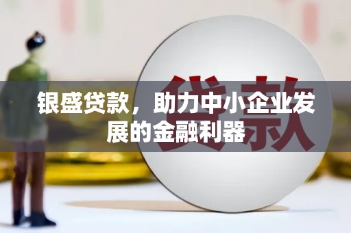 万秀银盛贷款，助力中小企业发展的金融利器