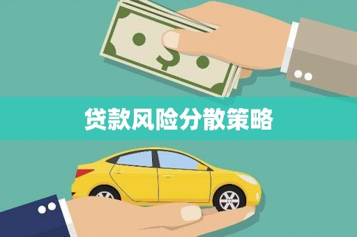 万秀贷款风险分散策略