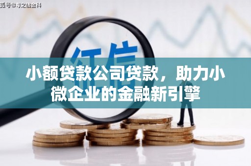 万秀小额贷款公司贷款，助力小微企业的金融新引擎