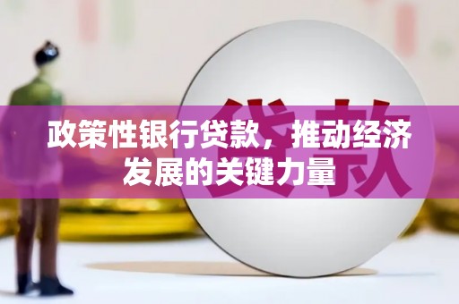 万秀政策性银行贷款，推动经济发展的关键力量
