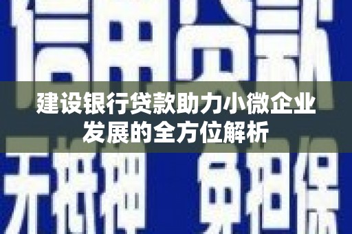 万秀建设银行贷款助力小微企业发展的全方位解析