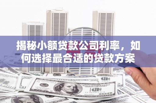 万秀揭秘小额贷款公司利率，如何选择最合适的贷款方案