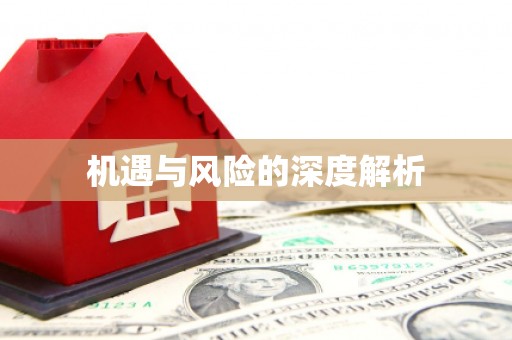 万秀机遇与风险的深度解析