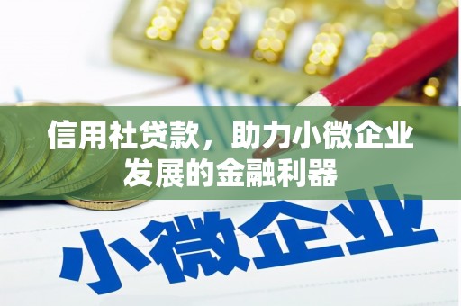 万秀信用社贷款，助力小微企业发展的金融利器