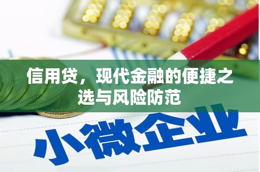 万秀信用贷，现代金融的便捷之选与风险防范
