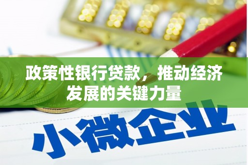 万秀政策性银行贷款，推动经济发展的关键力量