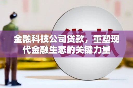 万秀金融科技公司贷款，重塑现代金融生态的关键力量