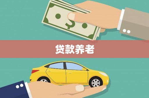 万秀贷款养老