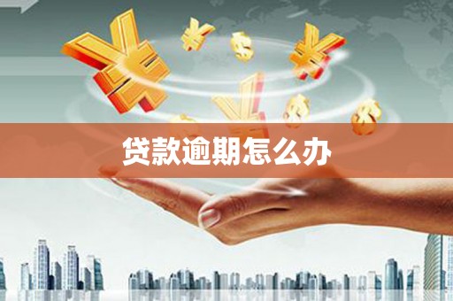 万秀贷款逾期怎么办