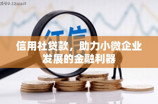 万秀信用社贷款，助力小微企业发展的金融利器