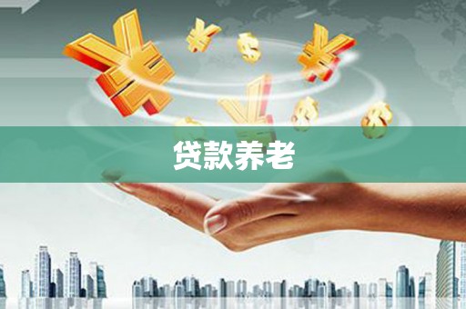 万秀贷款养老