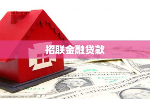 万秀招联金融贷款