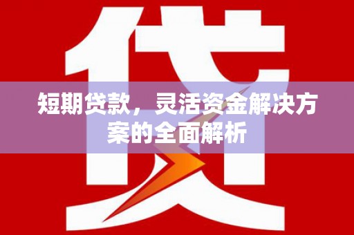 万秀短期贷款，灵活资金解决方案的全面解析