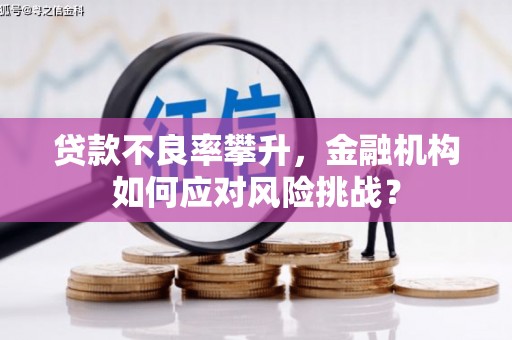 万秀贷款不良率攀升，金融机构如何应对风险挑战？