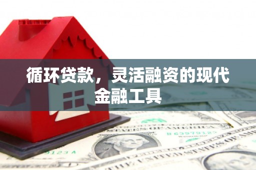 万秀循环贷款，灵活融资的现代金融工具