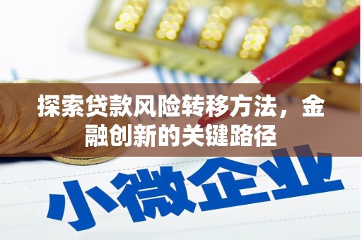 万秀探索贷款风险转移方法，金融创新的关键路径