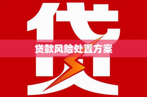 万秀贷款风险处置方案