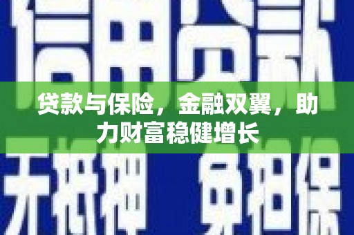 万秀贷款与保险，金融双翼，助力财富稳健增长