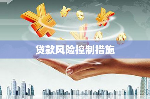 万秀贷款风险控制措施