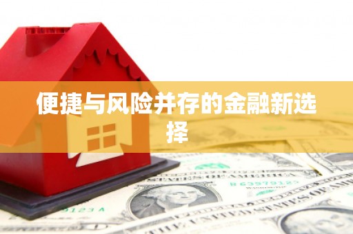 万秀便捷与风险并存的金融新选择