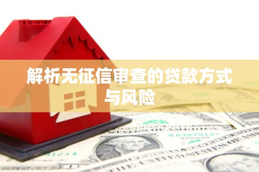 万秀解析无征信审查的贷款方式与风险