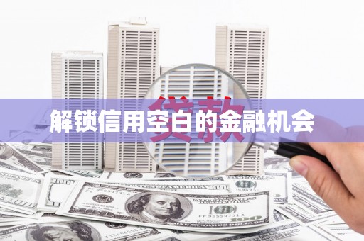万秀解锁信用空白的金融机会
