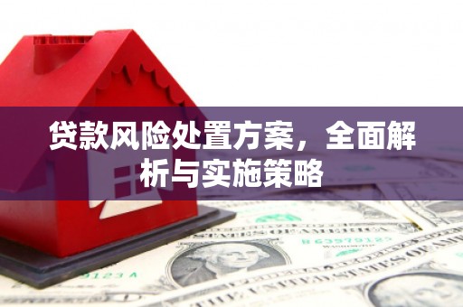 万秀贷款风险处置方案，全面解析与实施策略