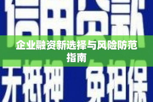 万秀企业融资新选择与风险防范指南