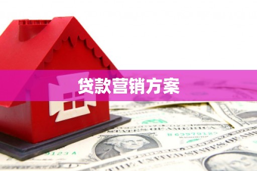万秀贷款营销方案