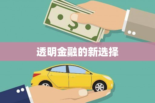 万秀透明金融的新选择
